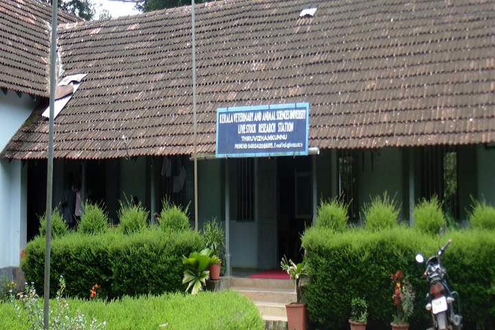 Kerala Veterinary and Animal Sciences University, Wayanad University campus building Kerala Veterinary and Animal Sciences University Waynad